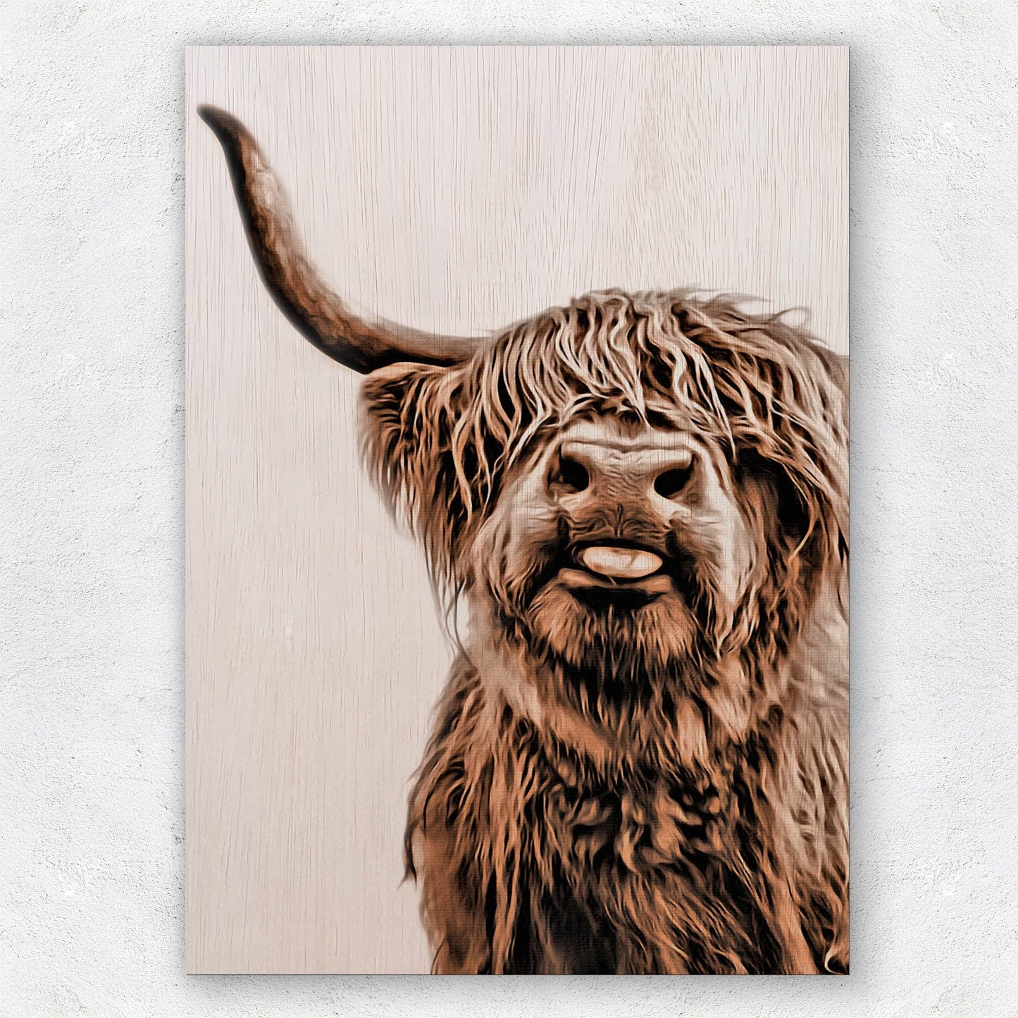 Cute Higland Cow