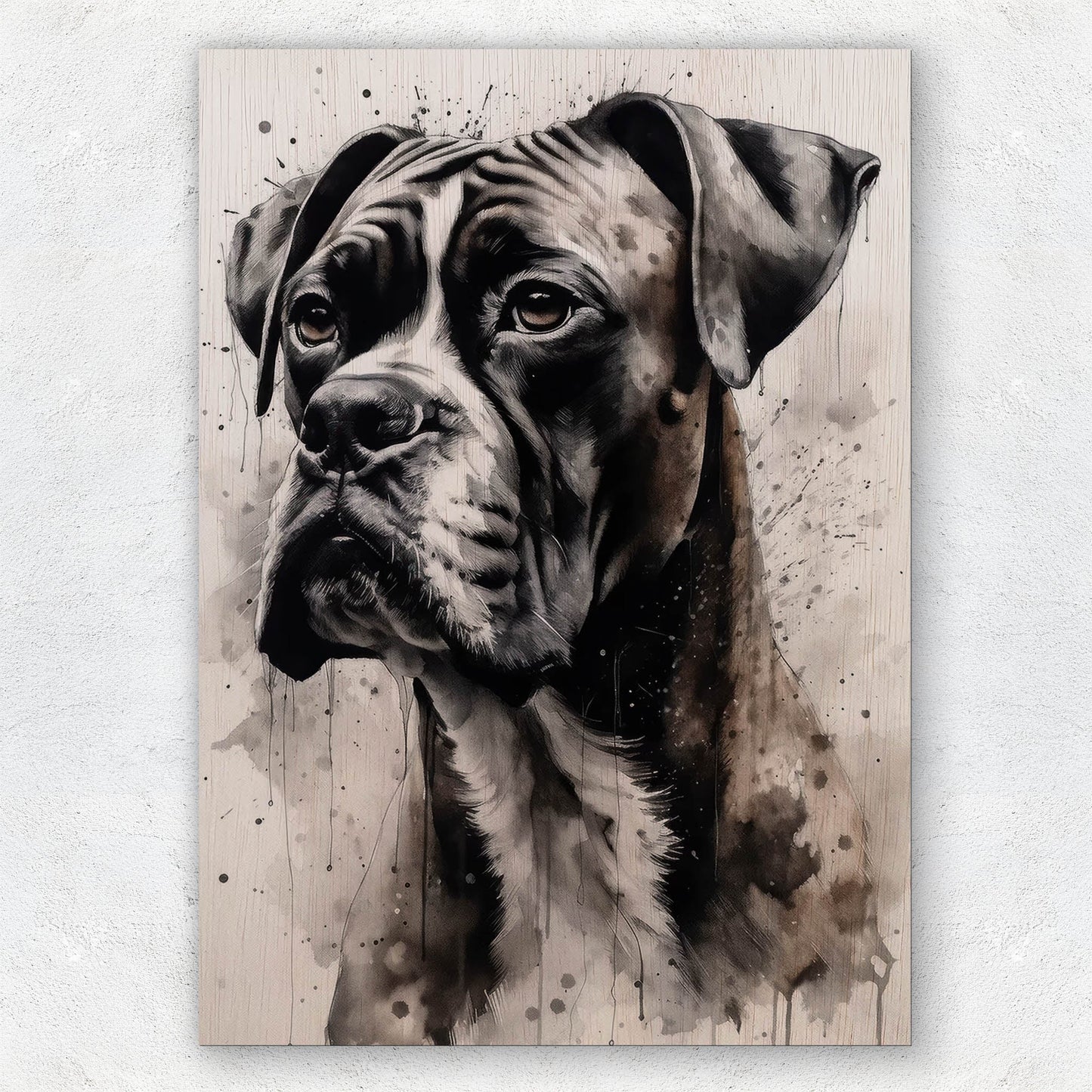 Boxer