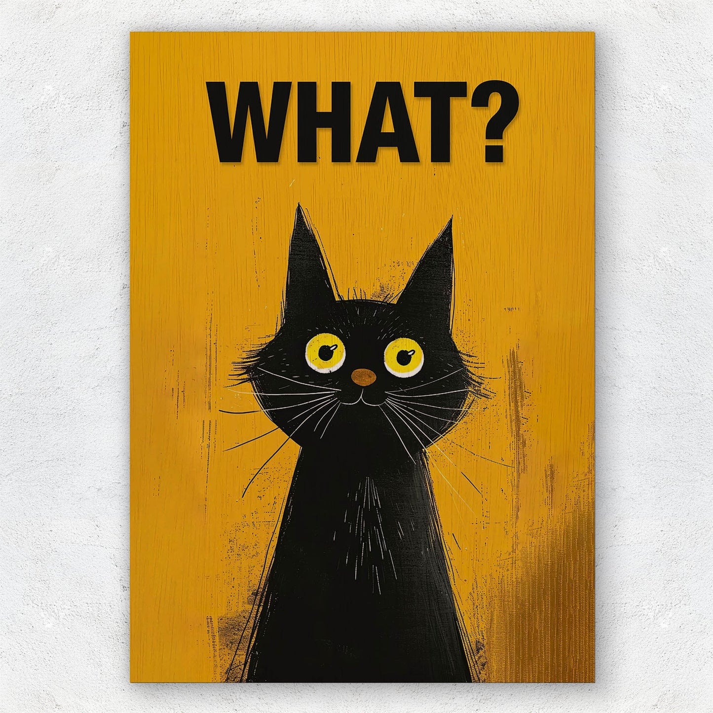 Confused Kitty