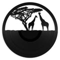 African Giraffes