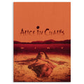 Alice in Chains · Wood Print