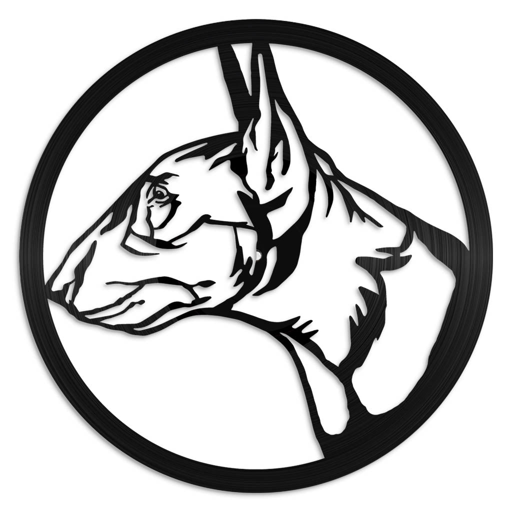 Bull Terrier